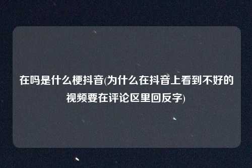 在吗是什么梗抖音(为什么在抖音上看到不好的视频要在评论区里回反字)