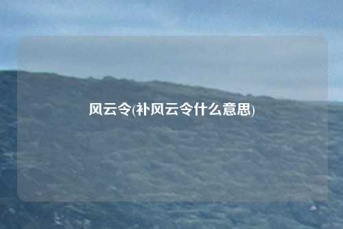 风云令(补风云令什么意思)
