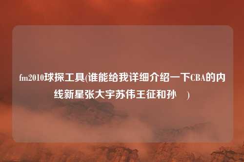 fm2010球探工具(谁能给我详细介绍一下CBA的内线新星张大宇苏伟王征和孙喆)