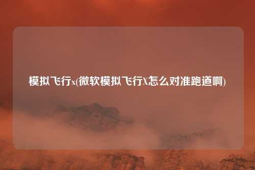 模拟飞行x(微软模拟飞行X怎么对准跑道啊)