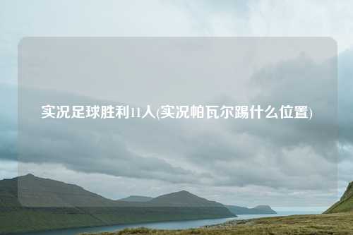 实况足球胜利11人(实况帕瓦尔踢什么位置)
