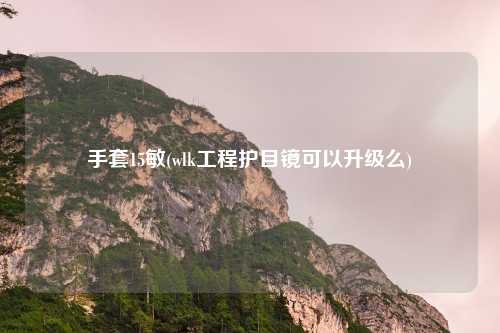 手套15敏(wlk工程护目镜可以升级么)