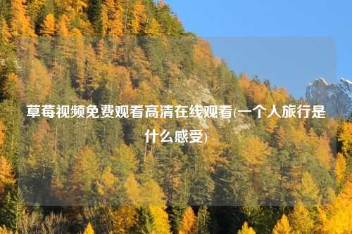 草莓视频免费观看高清在线观看(一个人旅行是什么感受)