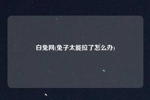 白兔网(兔子太能拉了怎么办)