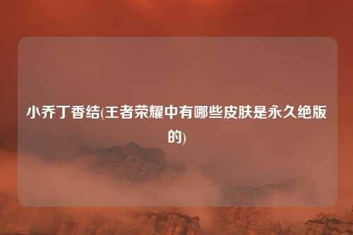 小乔丁香结(王者荣耀中有哪些皮肤是永久绝版的)