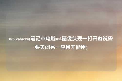 usb camera(笔记本电脑usb摄像头现一打开就说需要关闭另一应用才能用)
