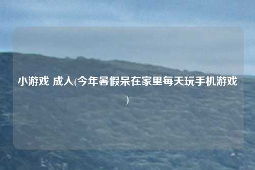 小游戏 成人(今年暑假呆在家里每天玩手机游戏)