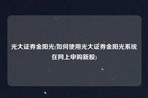 光大证券金阳光(如何使用光大证券金阳光系统在网上申购新股)