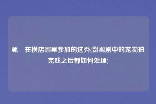 甄嬛在横店哪里参加的选秀(影视剧中的宠物拍完戏之后都如何处理)