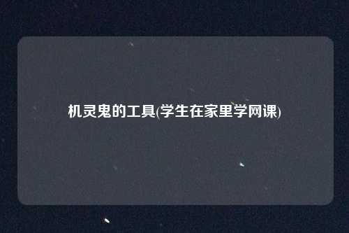 机灵鬼的工具(学生在家里学网课)