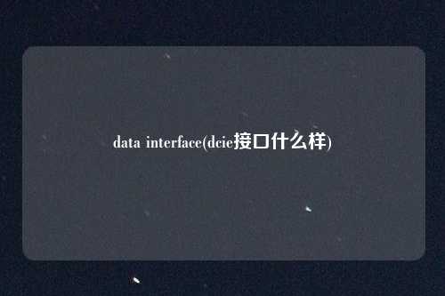 data interface(dcie接口什么样)