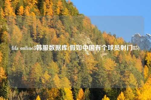 fifa online3韩服数据库(假如中国有个球员射门85)