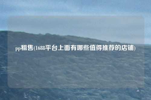 pp租售(1688平台上面有哪些值得推荐的店铺)