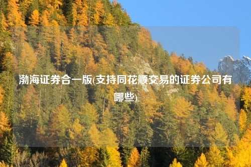 渤海证券合一版(支持同花顺交易的证券公司有哪些)