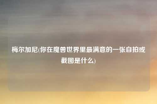 梅尔加尼(你在魔兽世界里最满意的一张自拍或截图是什么)