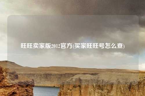 旺旺卖家版2012官方(买家旺旺号怎么查)