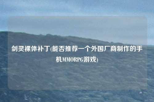 剑灵裸体补丁(能否推荐一个外国厂商制作的手机MMORPG游戏)