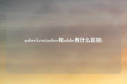 acdsee5.exe(acdsee和adobe有什么区别)