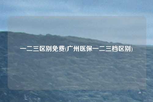 一二三区别免费(广州医保一二三档区别)