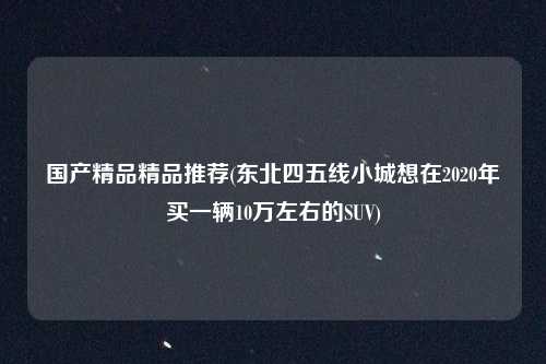 国产精品精品推荐(东北四五线小城想在2020年买一辆10万左右的SUV)