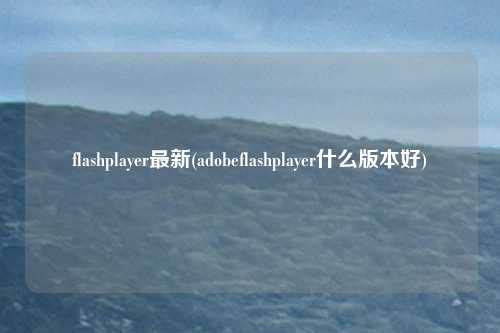 flashplayer最新(adobeflashplayer什么版本好)