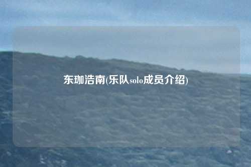 东珈浩南(乐队solo成员介绍)