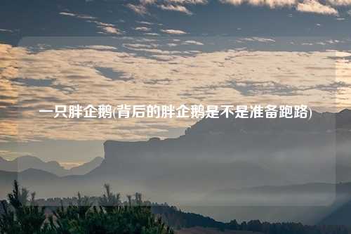 一只胖企鹅(背后的胖企鹅是不是准备跑路)