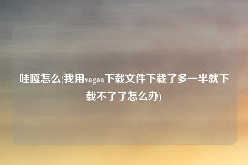 哇嘎怎么(我用vagaa下载文件下载了多一半就下载不了了怎么办)