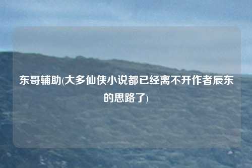 东哥辅助(大多仙侠小说都已经离不开作者辰东的思路了)