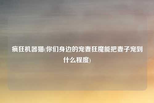 疯狂机器猫(你们身边的宠妻狂魔能把妻子宠到什么程度)