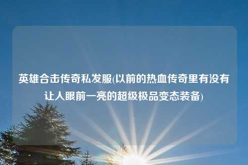 英雄合击传奇私发服(以前的热血传奇里有没有让人眼前一亮的超级极品变态装备)