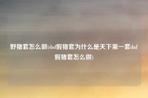 野猪套怎么做(dnf假猪套为什么是天下第一套dnf假猪套怎么做)