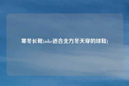 寒冬长靴(nike适合北方冬天穿的球鞋)