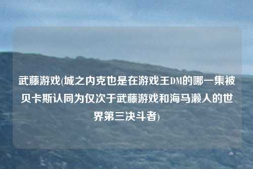 武藤游戏(城之内克也是在游戏王DM的哪一集被贝卡斯认同为仅次于武藤游戏和海马濑人的世界第三决斗者)