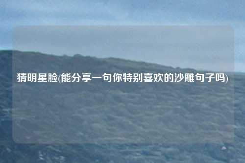 猜明星脸(能分享一句你特别喜欢的沙雕句子吗)