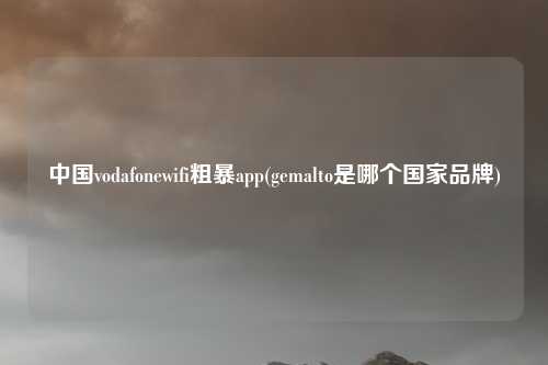 中国vodafonewifi粗暴app(gemalto是哪个国家品牌)