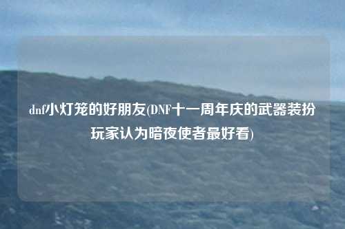 dnf小灯笼的好朋友(DNF十一周年庆的武器装扮玩家认为暗夜使者最好看)