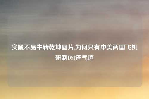 实鼠不易牛转乾坤图片,为何只有中美两国飞机研制DSI进气道