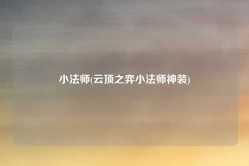 小法师(云顶之弈小法师神装)