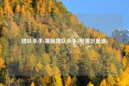 团队杀手(端脑团队杀手7号演员是谁)