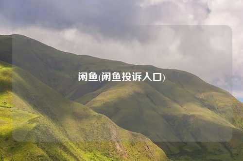 闲鱼(闲鱼投诉入口)