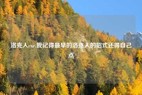 洛克人exe,我记得最早的洛克人的招式还得自己点