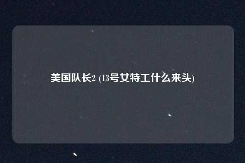 美国队长2 (13号女特工什么来头)
