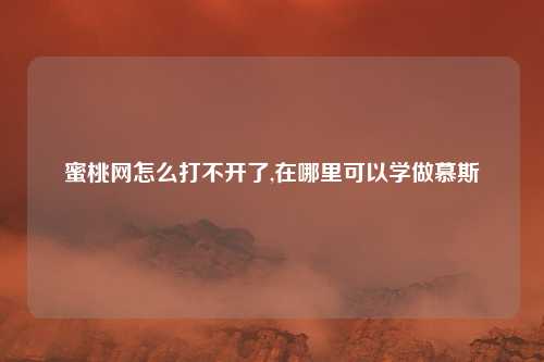 蜜桃网怎么打不开了,在哪里可以学做慕斯