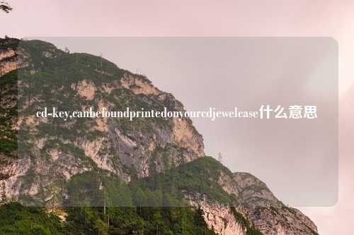 cd-key,canbefoundprintedonyourcdjewelcase什么意思