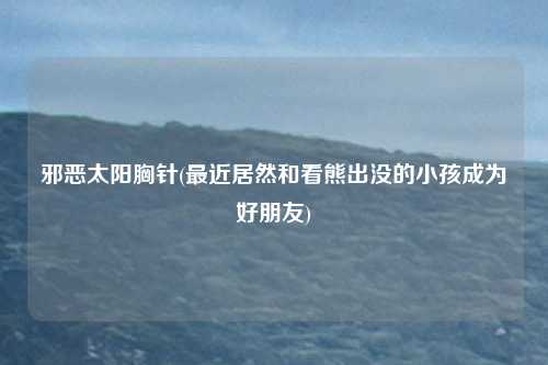 邪恶太阳胸针(最近居然和看熊出没的小孩成为好朋友)