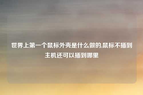 世界上第一个鼠标外壳是什么做的,鼠标不插到主机还可以插到哪里