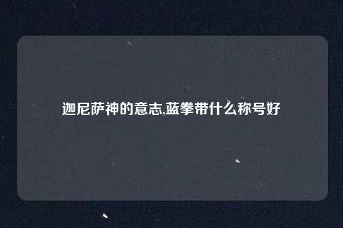 迦尼萨神的意志,蓝拳带什么称号好