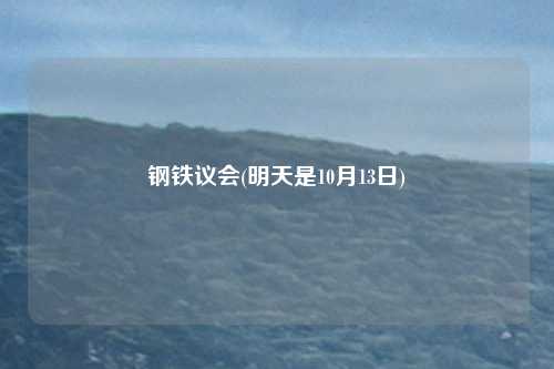 钢铁议会(明天是10月13日)