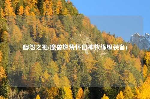 幽怨之袍(魔兽燃烧怀旧神牧练级装备)